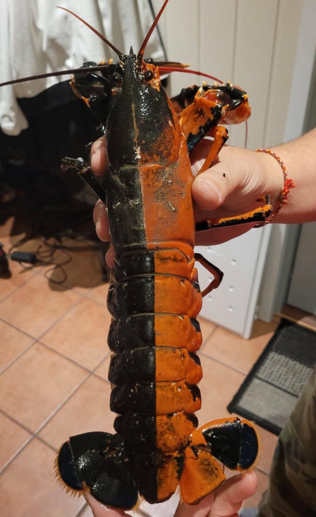 Interesting Finds (30 pics) Interesting Finds (30 pics)