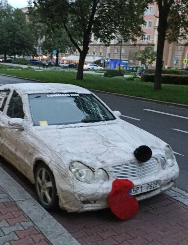 Crazy Cars (35 pics)