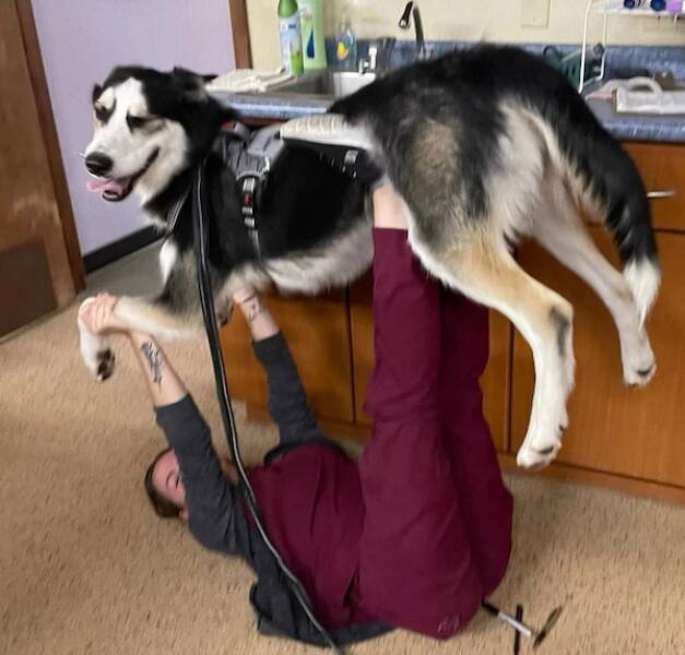 Life Is Beautiful (26 pics)