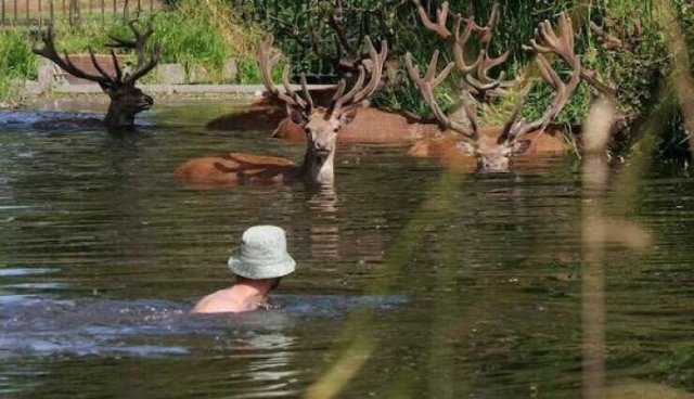 Life Is Beautiful (26 pics)