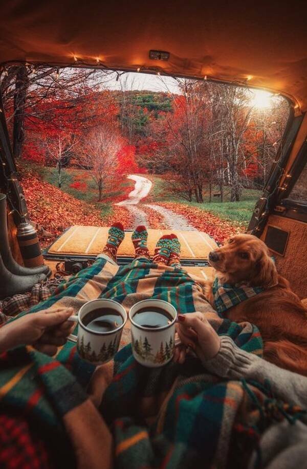 Life Is Beautiful (26 pics)