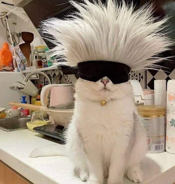 Funny Animals (30 pics)