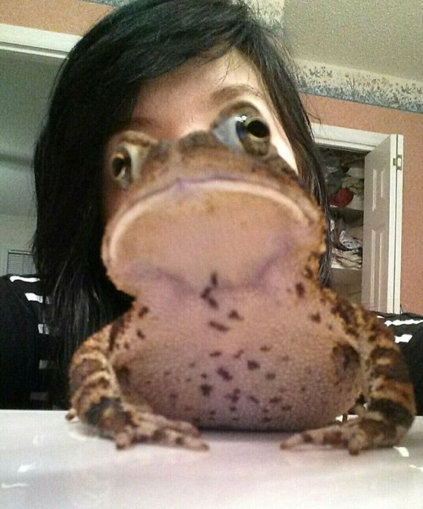 Funny Animals (30 pics)