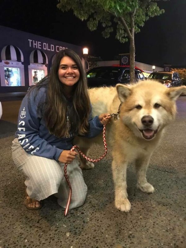 Huge Dogs (32 pics)