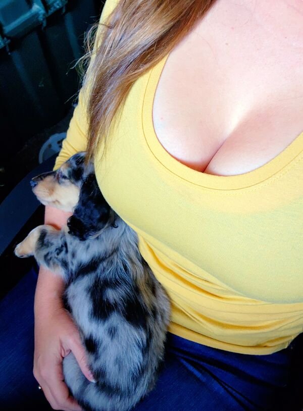 Girls With Puppies (37 pics)