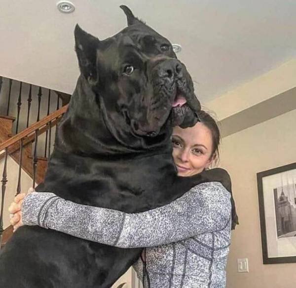 Huge Things (35 pics)