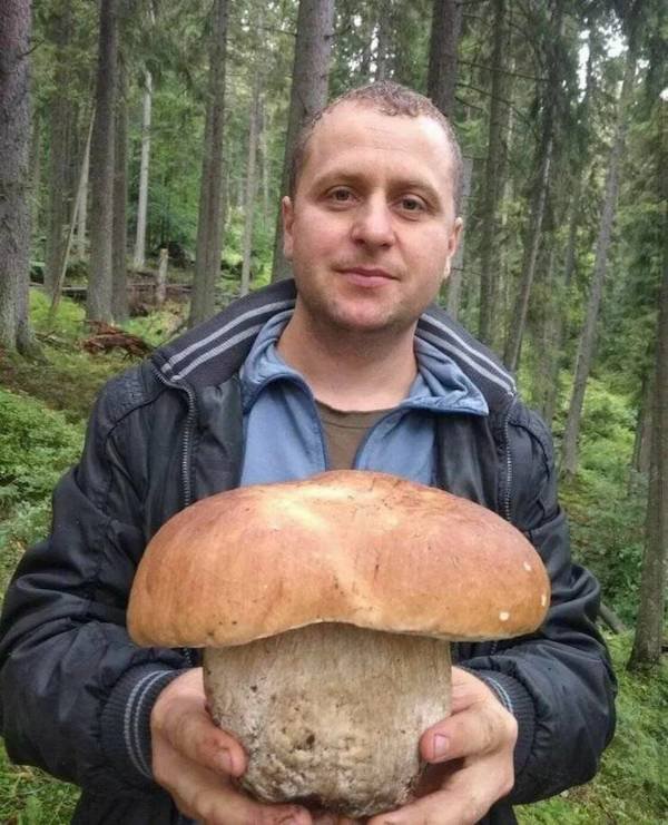 Huge Things (35 pics)