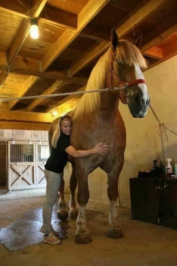 Huge Things (35 pics)