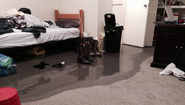Terrible Roommates (47 pics)