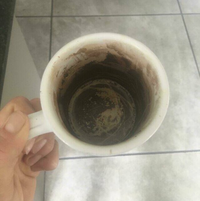 Terrible Roommates (47 pics)