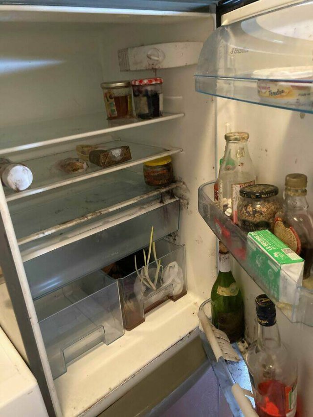 Terrible Roommates (47 pics)