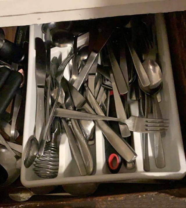 Terrible Roommates (47 pics)