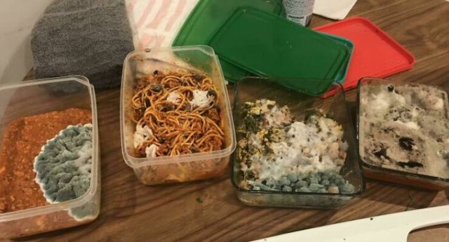 Terrible Roommates (47 pics)