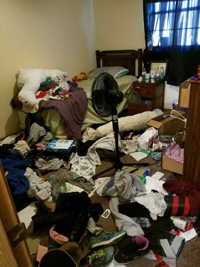 Terrible Roommates (47 pics)