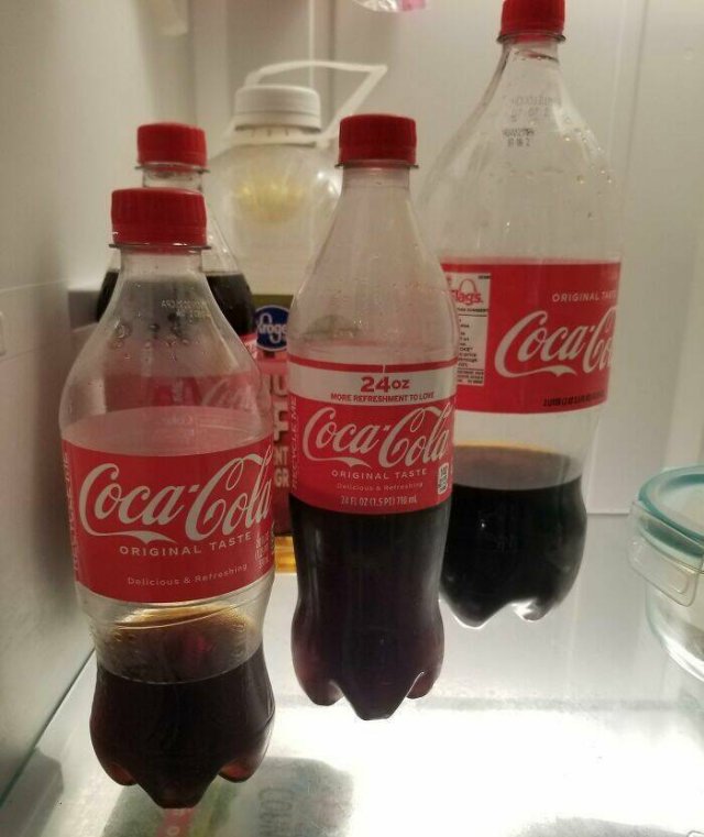 Terrible Roommates (47 pics)