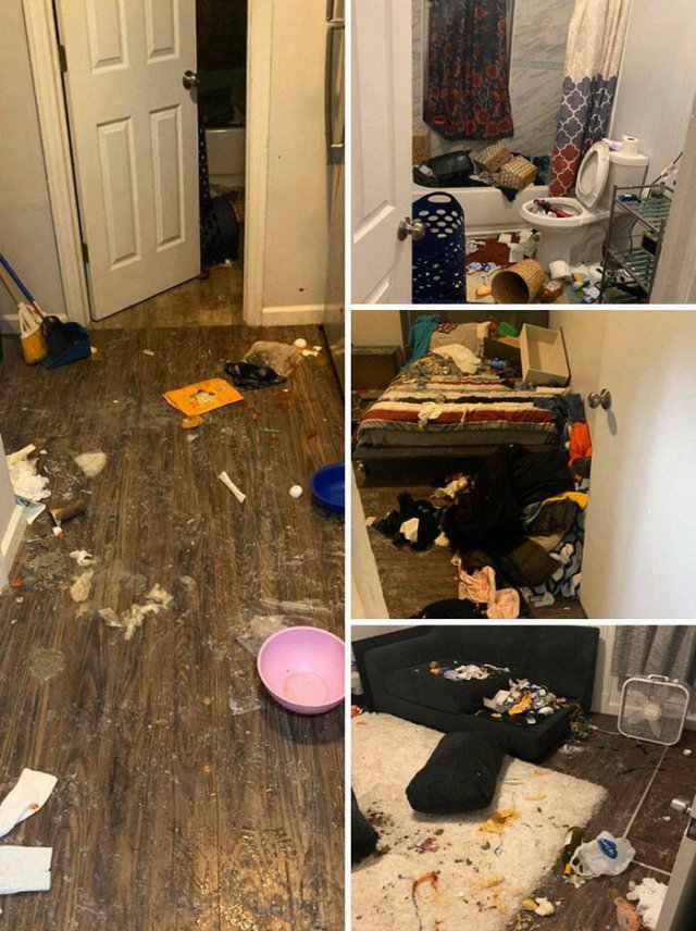 Terrible Roommates (47 pics)