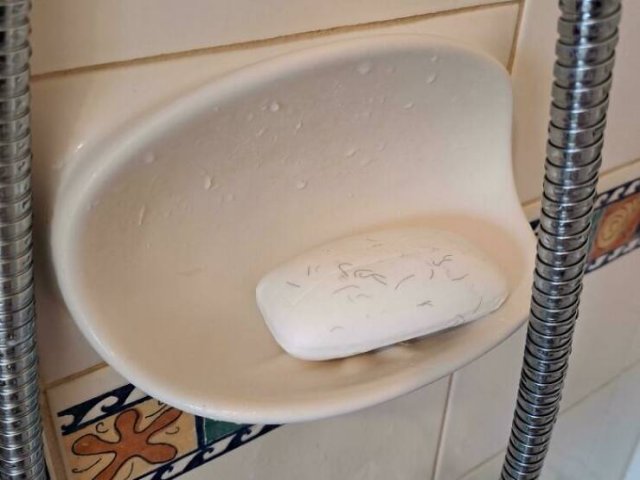 Terrible Roommates (47 pics)