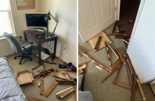 Terrible Roommates (47 pics)