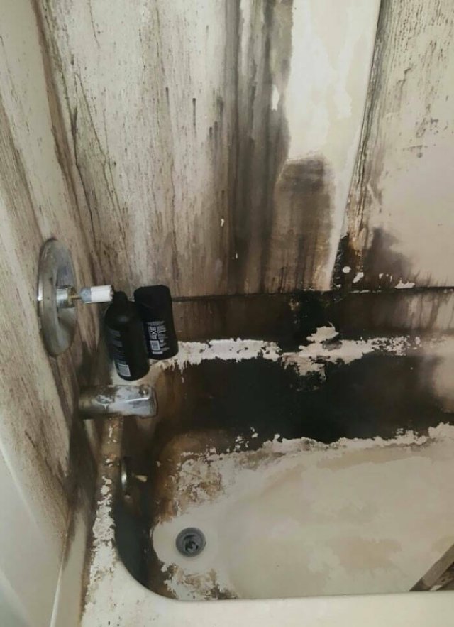 Terrible Roommates (47 pics)