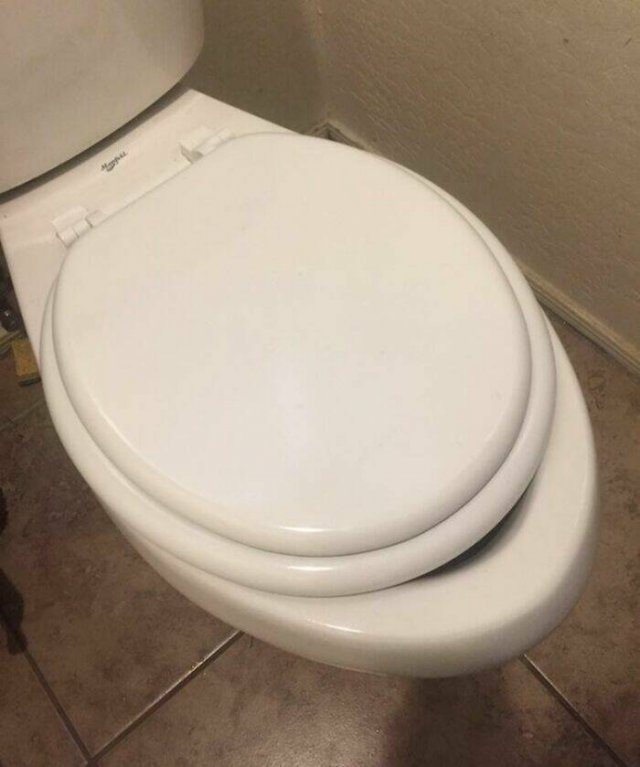 Terrible Roommates (47 pics)
