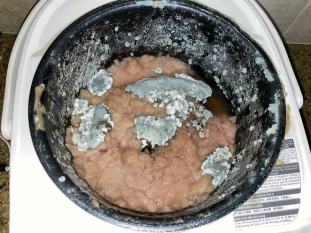 Terrible Roommates (47 pics)