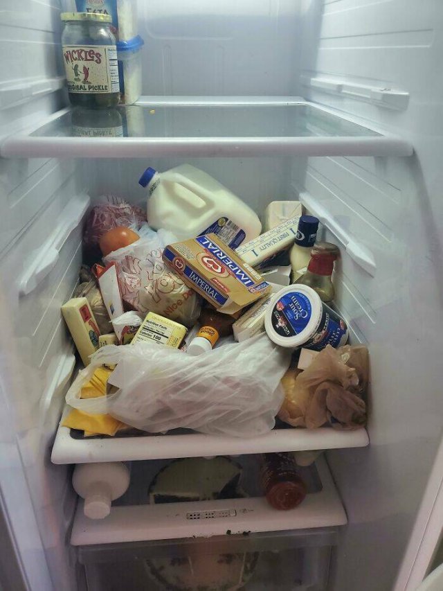 Terrible Roommates (47 pics)