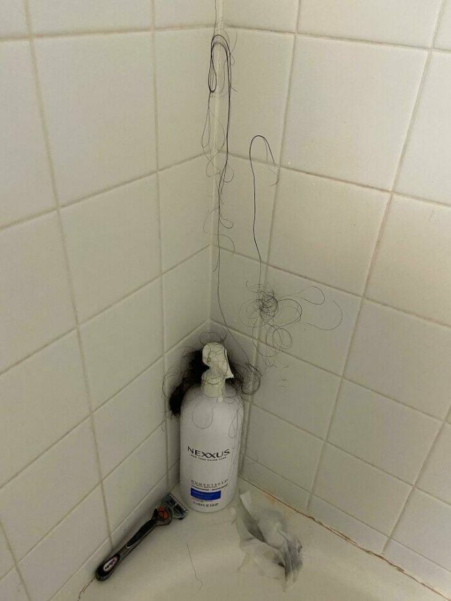 Terrible Roommates (47 pics)