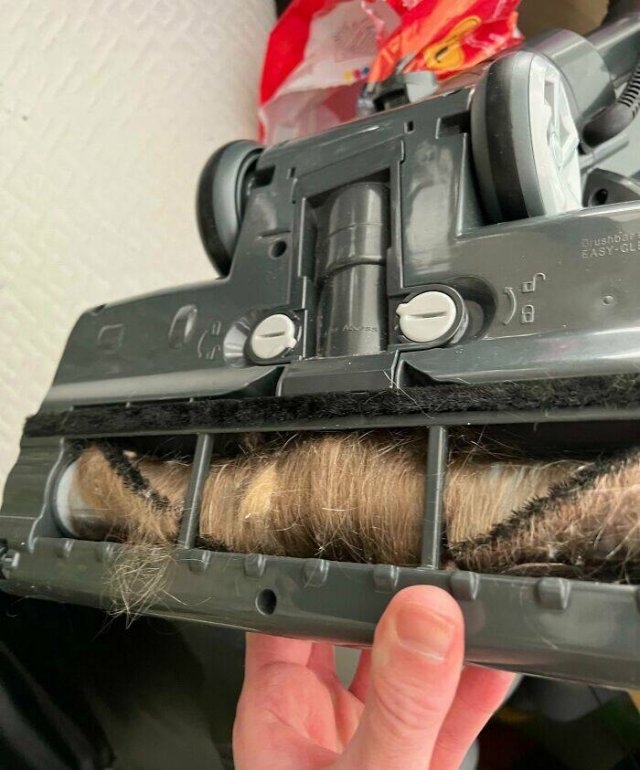 Terrible Roommates (47 pics)