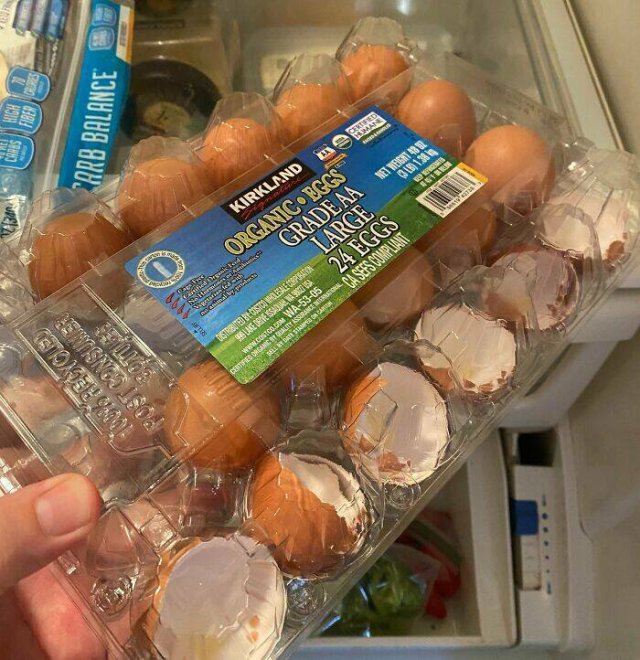 Terrible Roommates (47 pics)