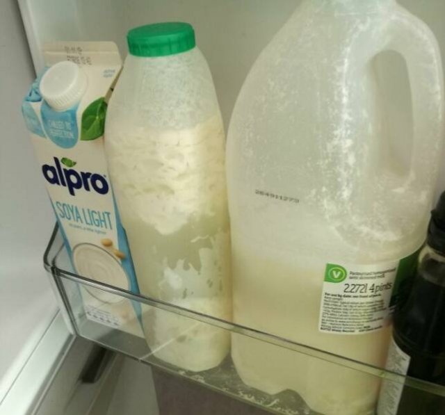 Terrible Roommates (47 pics)