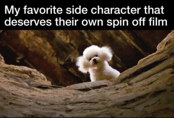 Funny Animals (50 pics)