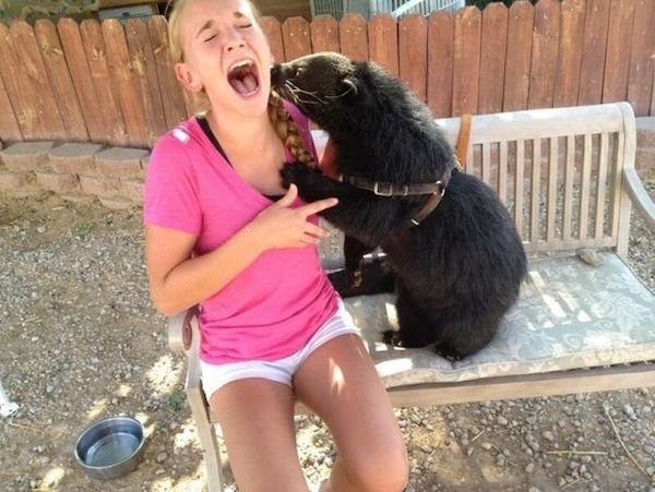 Funny Animals (50 pics)