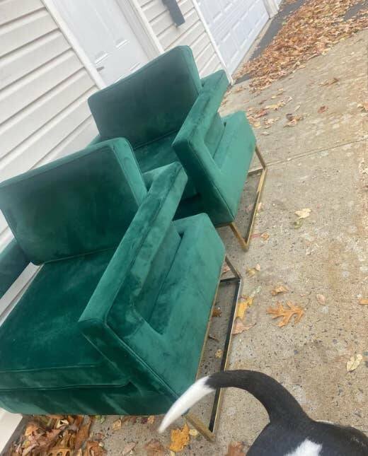Cool Finds In The Garbage (15 pics)