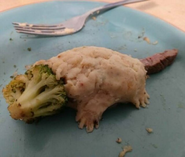Weird Dishes 28 Pics 