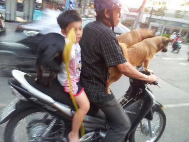 Strange Photos From Asian Countries (55 pics)