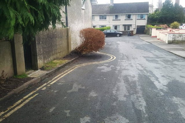 Very Lazy People (46 pics)