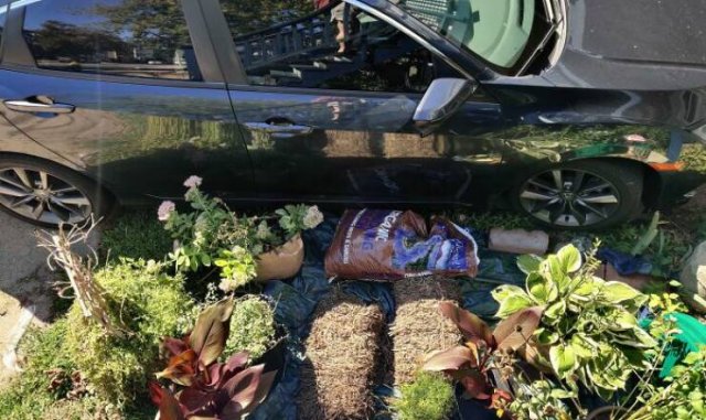 Very Lazy People (46 pics)