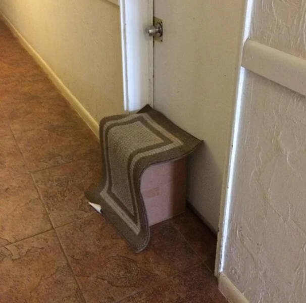 Funny Failed Deliveries (16 pics)