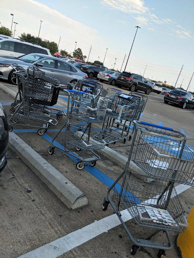 Very Lazy People (46 pics)