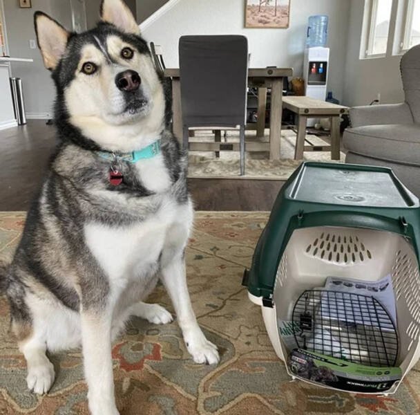 Expectations Against Reality (48 pics) Expectations Against Reality (48 pics)