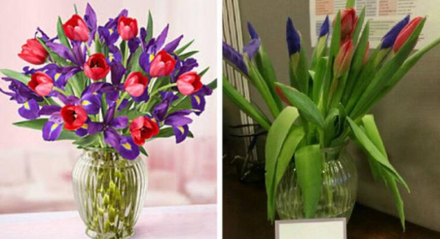Expectations Against Reality (48 pics) Expectations Against Reality (48 pics)