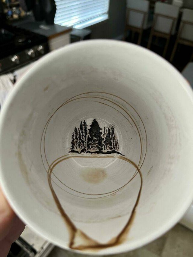 Awesome Finds (48 pics)