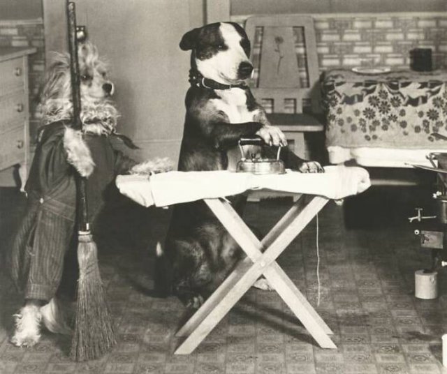 Interesting Historical Photos (43 pics)