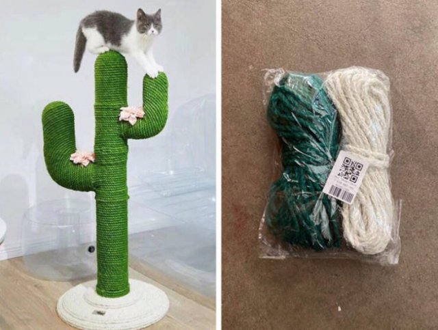 Expectations Against Reality (48 pics) Expectations Against Reality (48 pics)