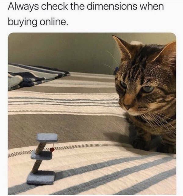 Expectations Against Reality (48 pics)