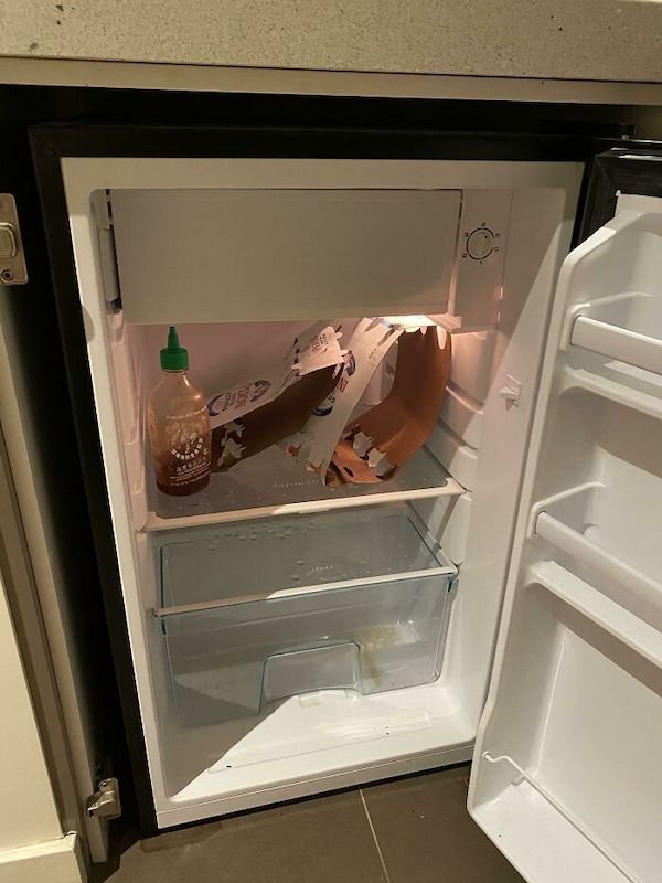 Weird Finds In Fridges (35 pics)