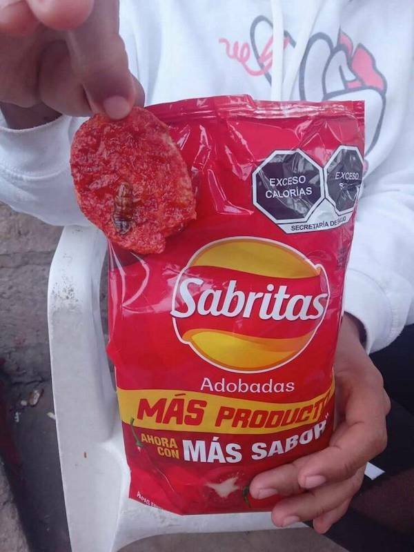 Terrible Designs (32 pics)