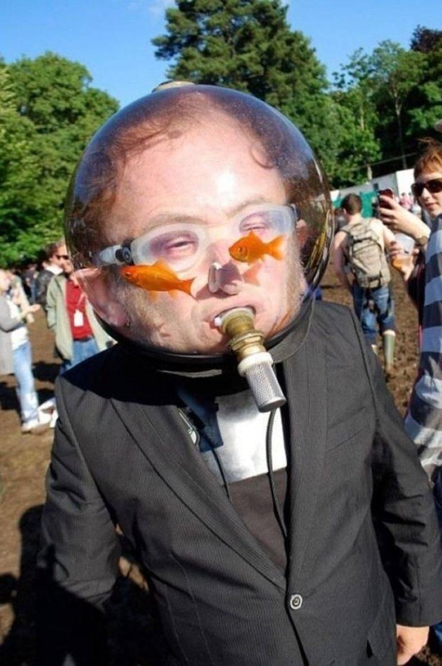 What Is Going On Here? (51 pics)