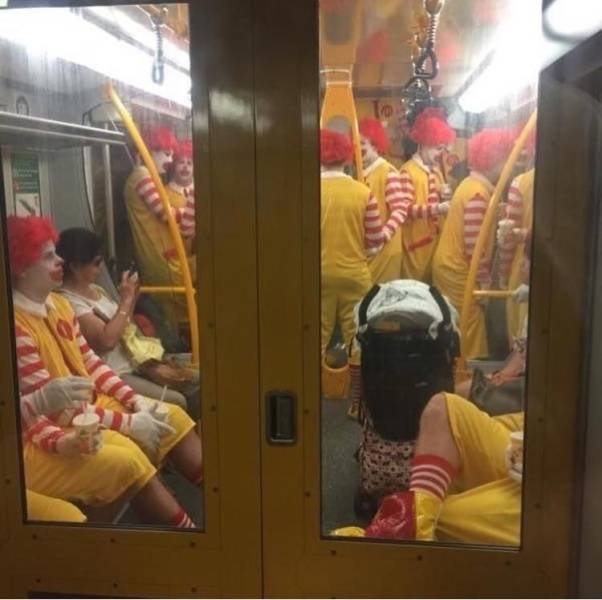 What Is Going On Here? (51 pics)