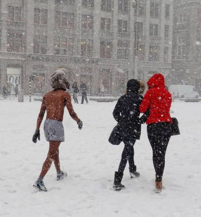 What Is Going On Here? (51 pics)
